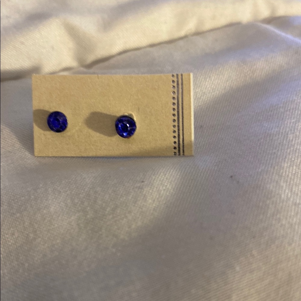 Blue Stud Earrings